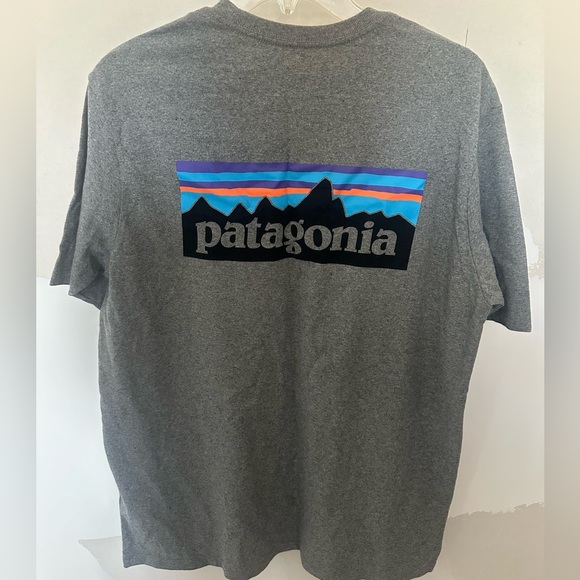 Patagonia Gray Mountain Graphic Tee - Picture 1 of 6